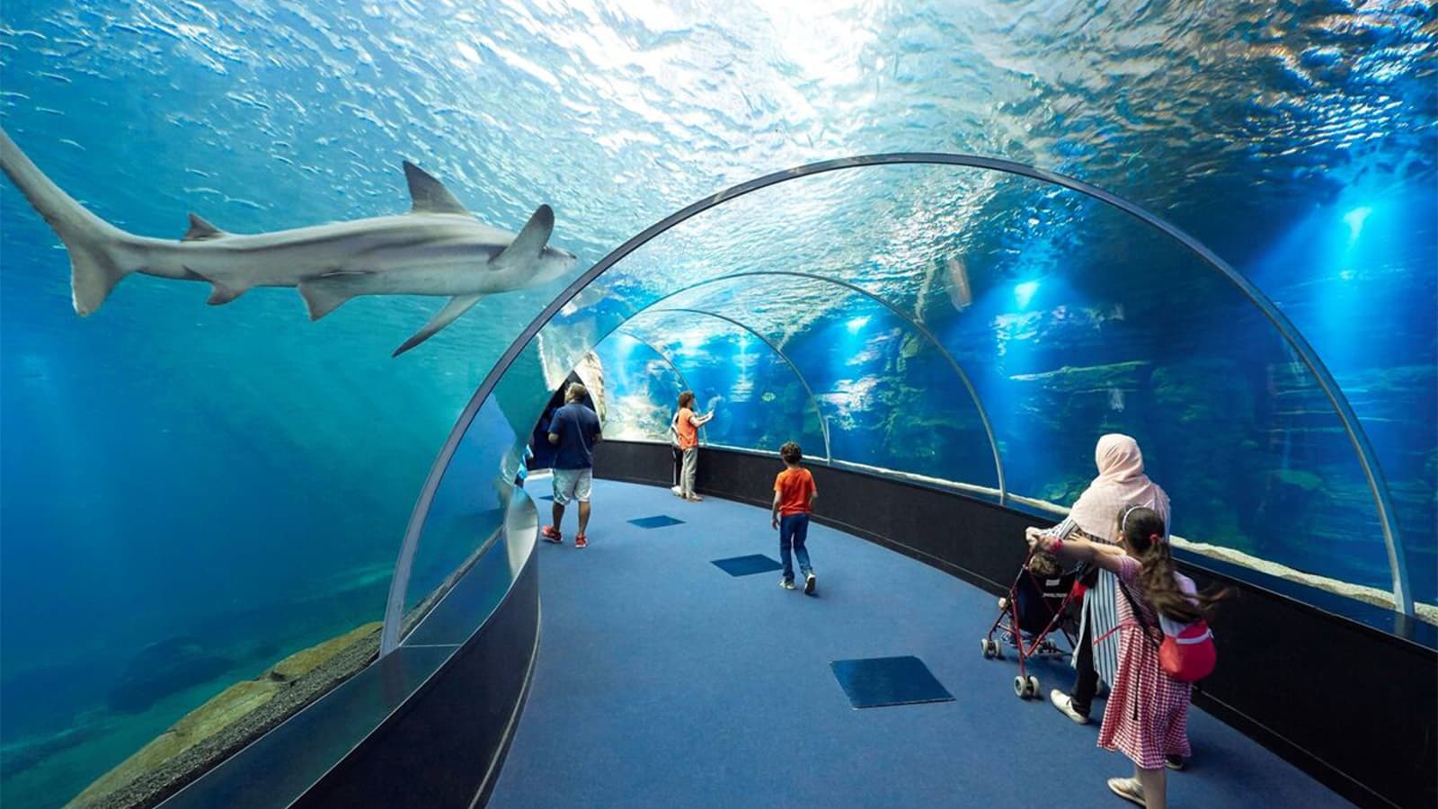 Boulogne-sur-Mer inclusief Nausicaá Aquarium Ticket foto 2